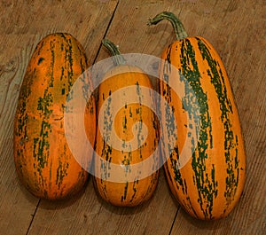 Oval pumpkin lies on a wooden table