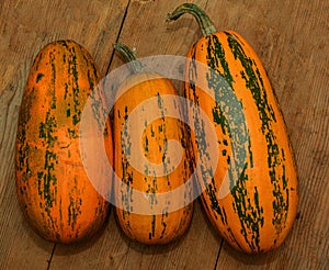 Oval pumpkin lies on a wooden table