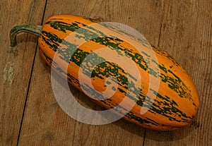 Oval pumpkin lies on a wooden table