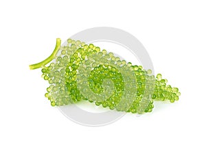 Oval sea grapes seaweed isolsted on white