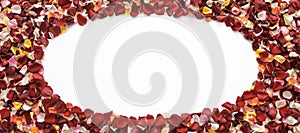 Oval shape frame of mixed fresh rose petals on white background with copy space.