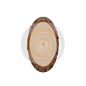 Indicate the age of the tree showcasing concentric circles from