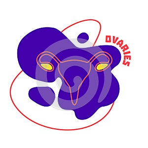 Ovaries endocrine and female reproductive system body organ outline icon