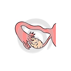 Ovary color line icon. Endocrine system. Pictogram for web page