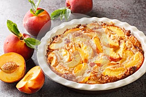 Oven baked perfect Southern dessert Peach Cobbler. Horizontal photo