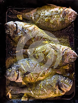 Oven-baked spar fishes lie on a tray