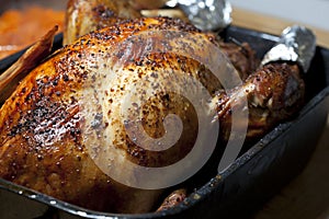 Oven Roasted Turkey photo