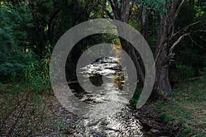 Ovens River flowing through Harrietville in north-eastern Victoria