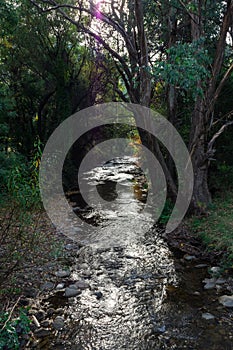 Ovens River flowing through Harrietville in north-eastern Victoria