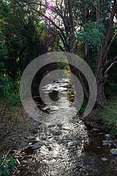 Ovens River flowing through Harrietville in north-eastern Victoria photo