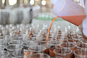 The over consumption of plastic during the preparation for bubble or boba chai tea feast by using lots of non biodegradable glass