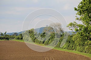 Over The Fields To Glastonbury Tor, Somerset, UK