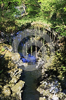 Over grown Faerie bridges spanning a deep gorge to a river