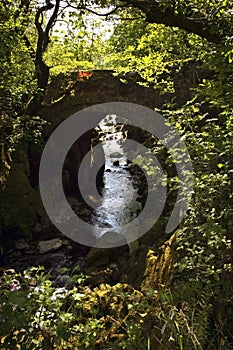 Over grown Faerie Footbridge spanning a deep gorge to a river