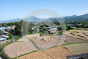 over high view after farmer harvest golden and green rice. empty land at countryside in north of Thailand