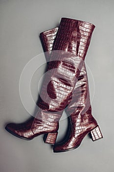 Over the knee boots, stylish burgundy reptile skin leather shoes for women. Female fashion. Footwear