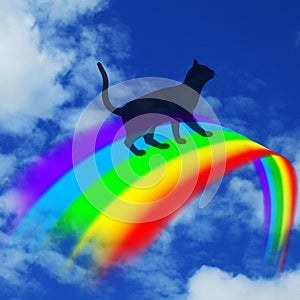 Over the Rainbow Bridge