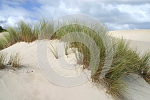 Over the Sand Dune