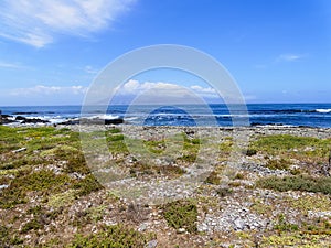 Over the sparse vegitation on Robben Islands shore to a cloud covered Cape Town photo