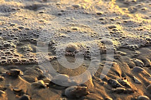 A small number of shells on the beach.