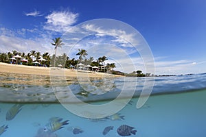 Over underwater of Island in Whitsundays