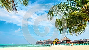 Over water bungalows and tropical sandy beach with palm tree, Maldives