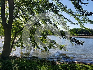 Over the Water of Wellesley Pond