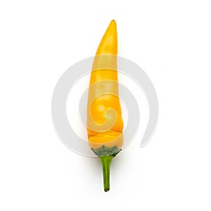 Overall composition emphasizes the simplicity and vibrant color of the