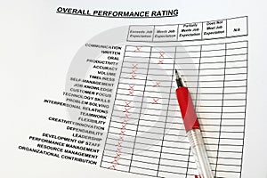 Overall Performance Rating photo