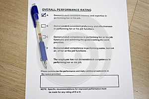 Overall Performance Rating