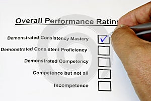 Overall Performance Rating Form