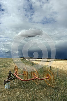 Overcast agricultural scene