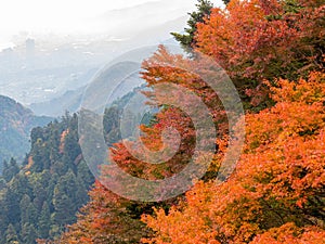 Overcast autumn landsacpe at Mount Hiei