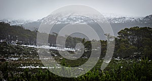 Overcast day on Quamby Bluff, a mountain in Northern Tasmania