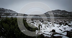 Overcast day on Quamby Bluff, a mountain in Northern Tasmania