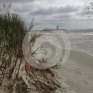 Overcast at the ocean