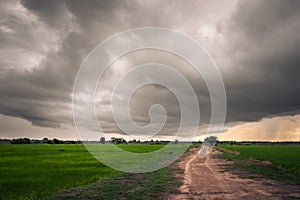 Overcast Sky Above Rice Field, Rainy Season