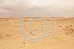 Overcast Sky over Great Sandhills Ecological Reserve