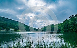 An Overcast View of Abbott Lake