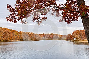 Overcast view of the fall color of a hiking trail in Lake of the Ozarks state Park