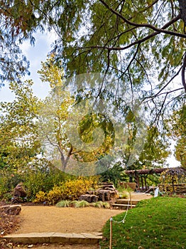 Overcast view of the garden of Myriad Botanical Gardens