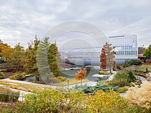 Overcast view of the garden of Myriad Botanical Gardens