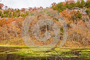 Overcast view of the Ha Ha Tonka Spring