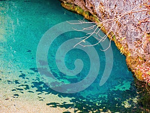 Overcast view of the Ha Ha Tonka Spring