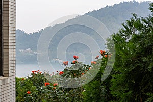 Overcast view of the sunmoon lake and flower blossom