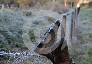 Overcoming a barbed wire fence, roadblock with concrete cones against vehicles. the iron curtain divides nations. climb over the r