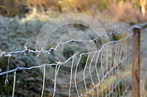 Overcoming a barbed wire fence, roadblock with concrete cones against vehicles. the iron curtain divides nations. climb over the r