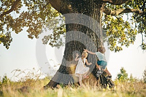 Overcoming the fear of heights. Happy children on countryside. Climbing trees children. Little boy and girl climbing