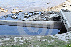 OVerflow Channel with Swallows photo