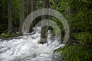 Overflow Mountain Stream